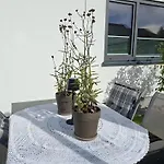 Bei Tanja Und Marcus Apartment Sankt Georgen im Schwarzwald