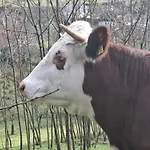 Bei Tanja Und Marcus شقة *