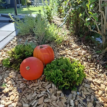 Bei Tanja Und Marcus * Sankt Georgen im Schwarzwald