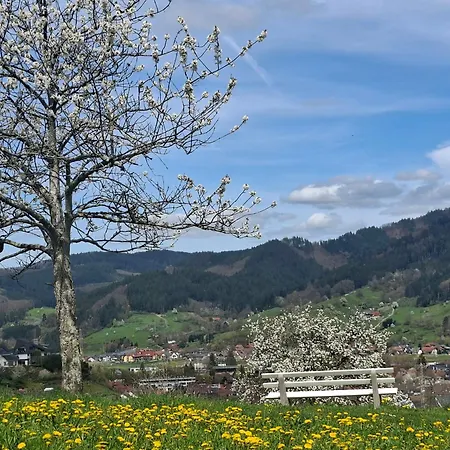 Bei Tanja Und Marcus Apartment Sankt Georgen im Schwarzwald