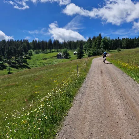 Bei Tanja Und Marcus Apartment Sankt Georgen im Schwarzwald